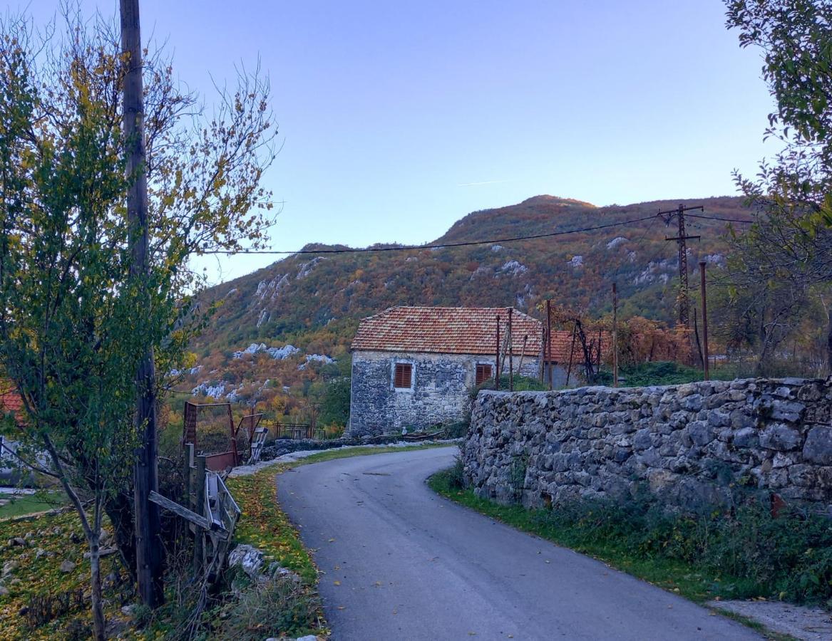 Konak Ugnji-Village Cetinje Exterior photo